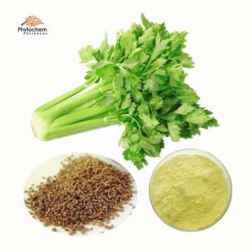 Supplement Capsules Powder Celery Seed Extract Apigenin 98% Celery Seed/Leaf Extract Powder